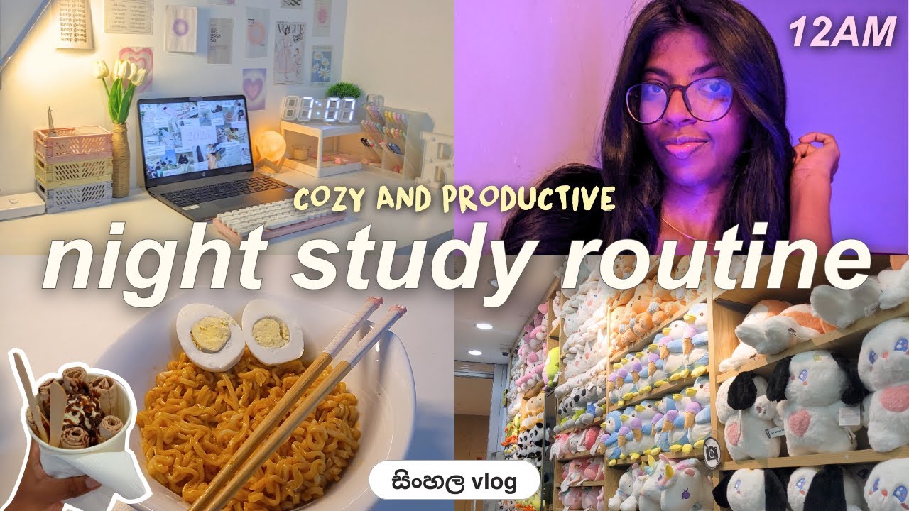 පාඩම් වැඩත් එක්ක ගෙවුන productive රැයක් 🎑💗✨ Night study vlog ft.HumanizerPro 📖🍃