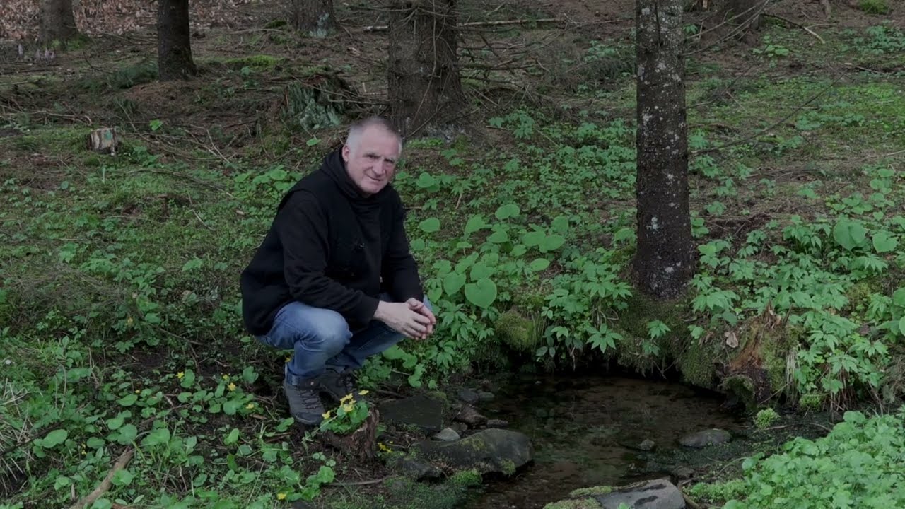 Fent a Hargitán, egy forrásnál!