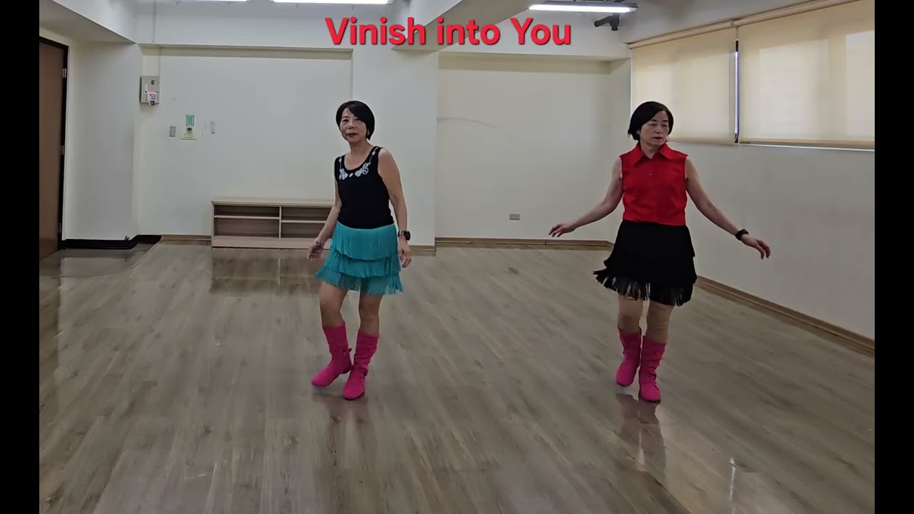 Vinish into You 