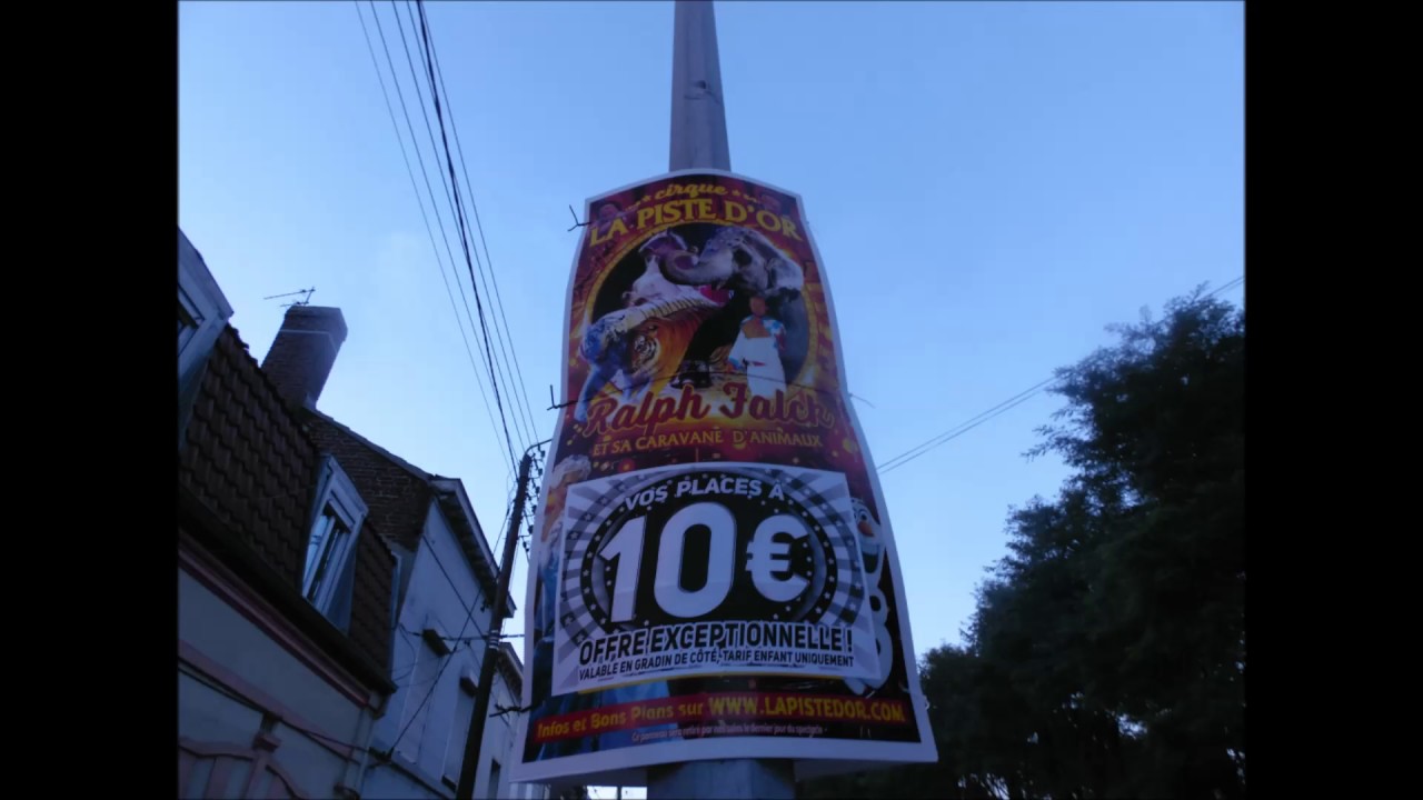 cirque la piste d'or 2016