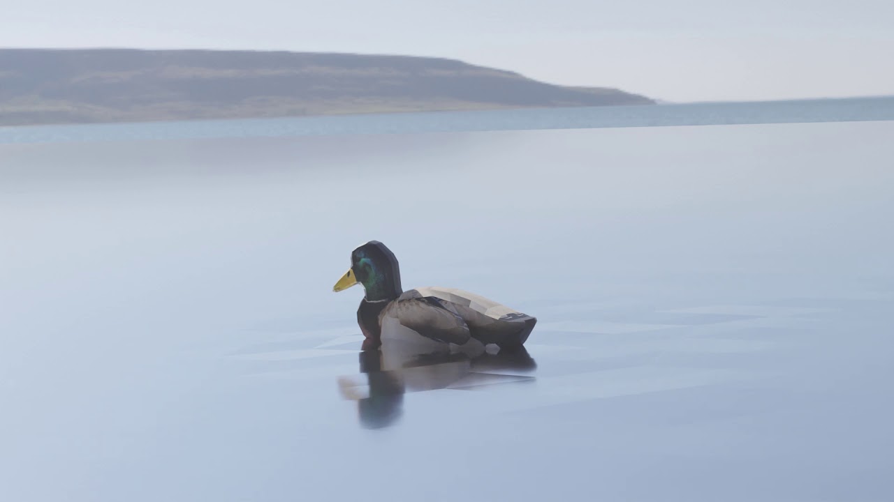 Blender Duck Animation