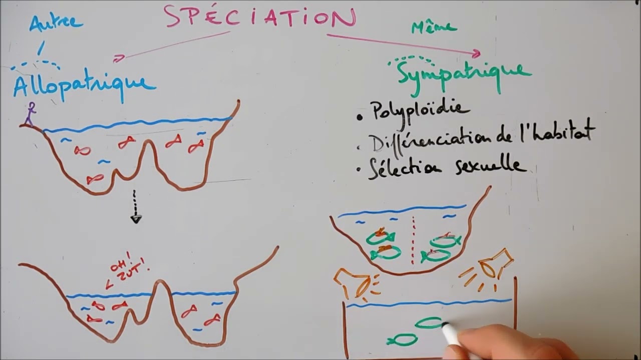 Spéciation et isolement reproductif