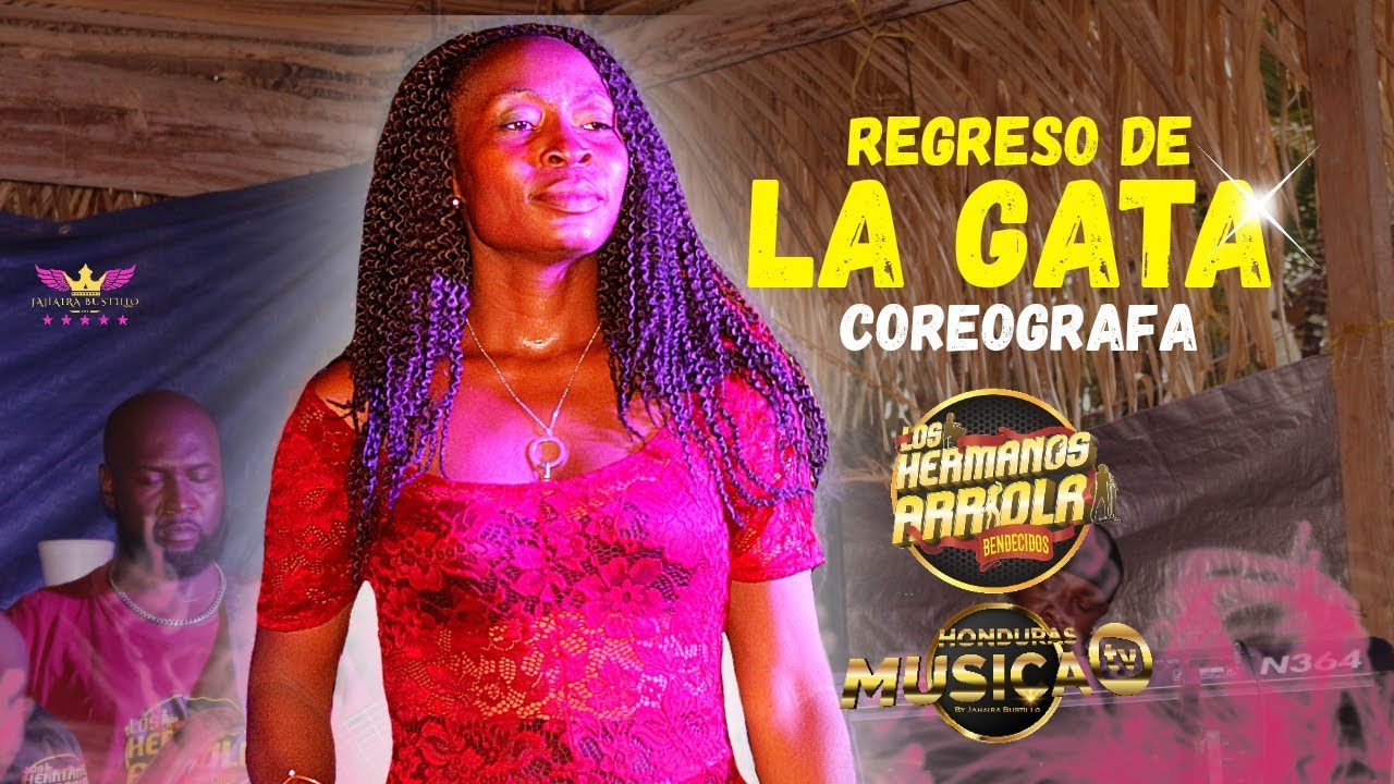 LA GATA - EL REGRESO CON LOS HERMANOS ARRIOLA 2019