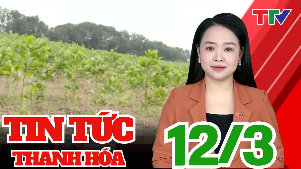 Thanh Hóa phấn đấu trồng hơn 2 triệu cây xanh phân tán và 10.000 ha rừng tập trung