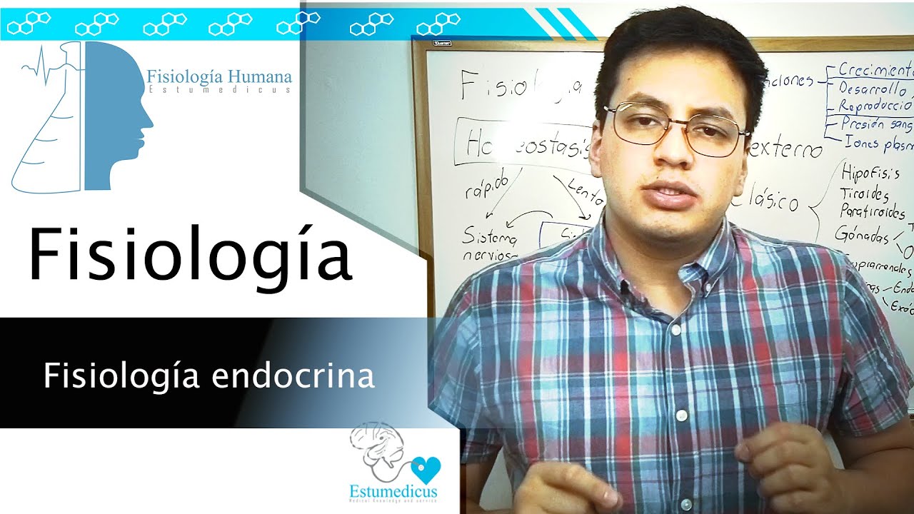 Fisiología endocrina