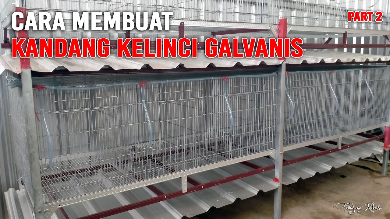 Cara Membuat Kandang Modern Galvanis part 2 | How to Make a Modern Galvanized Cage part 2