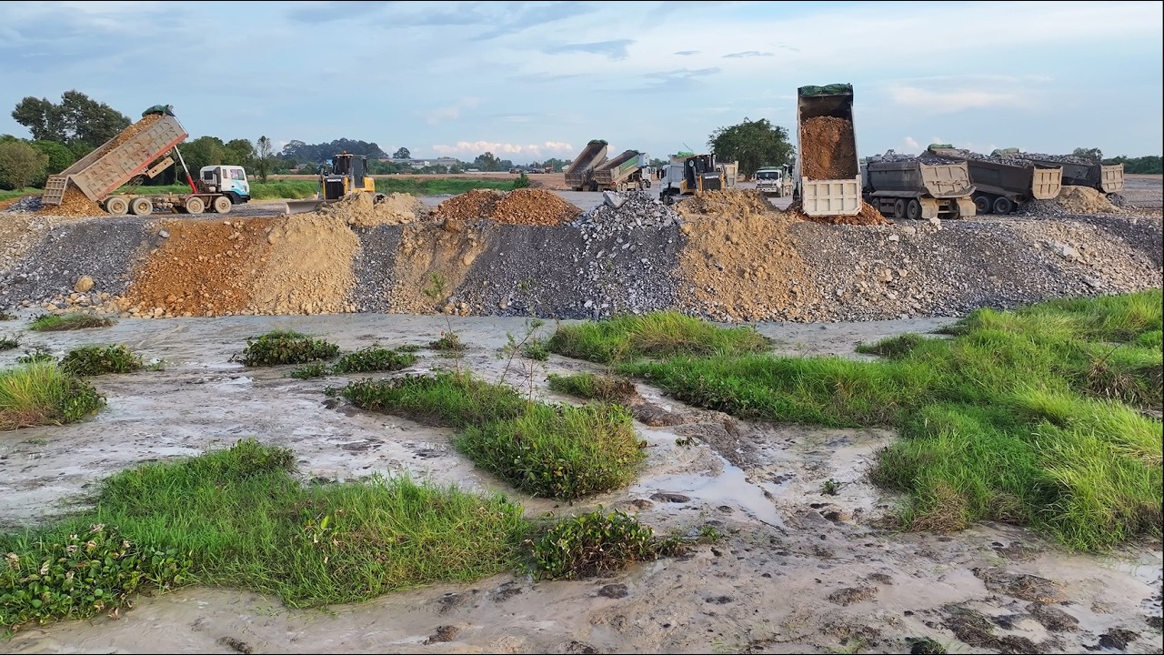 Amazing Job!!DumpTruck 25TON Trasport Stone Filling Lake And Dozer SHANTUI C3 Push In Stone In Mud