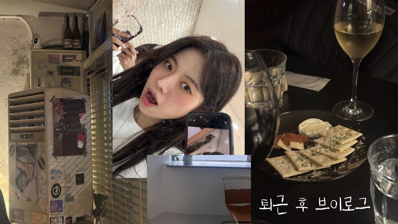 [vlog] 직장인 퇴근 후 일상 브이로그