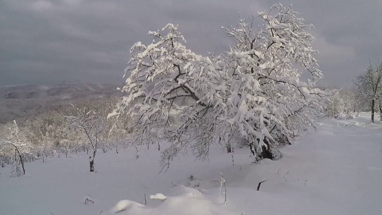 Staro selo (Dedina bara) 2021