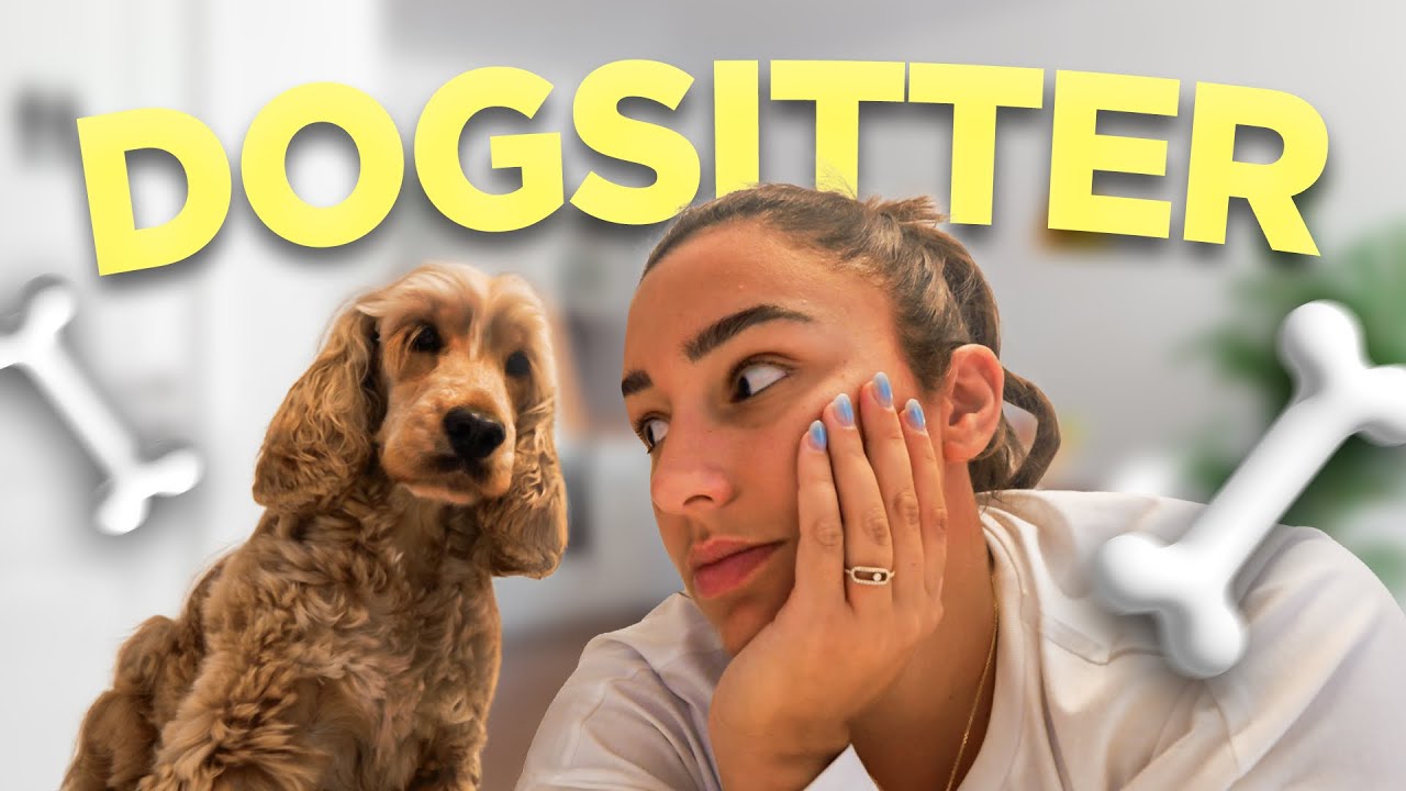 JE SUIS DOG-SITTER PENDANT 24H