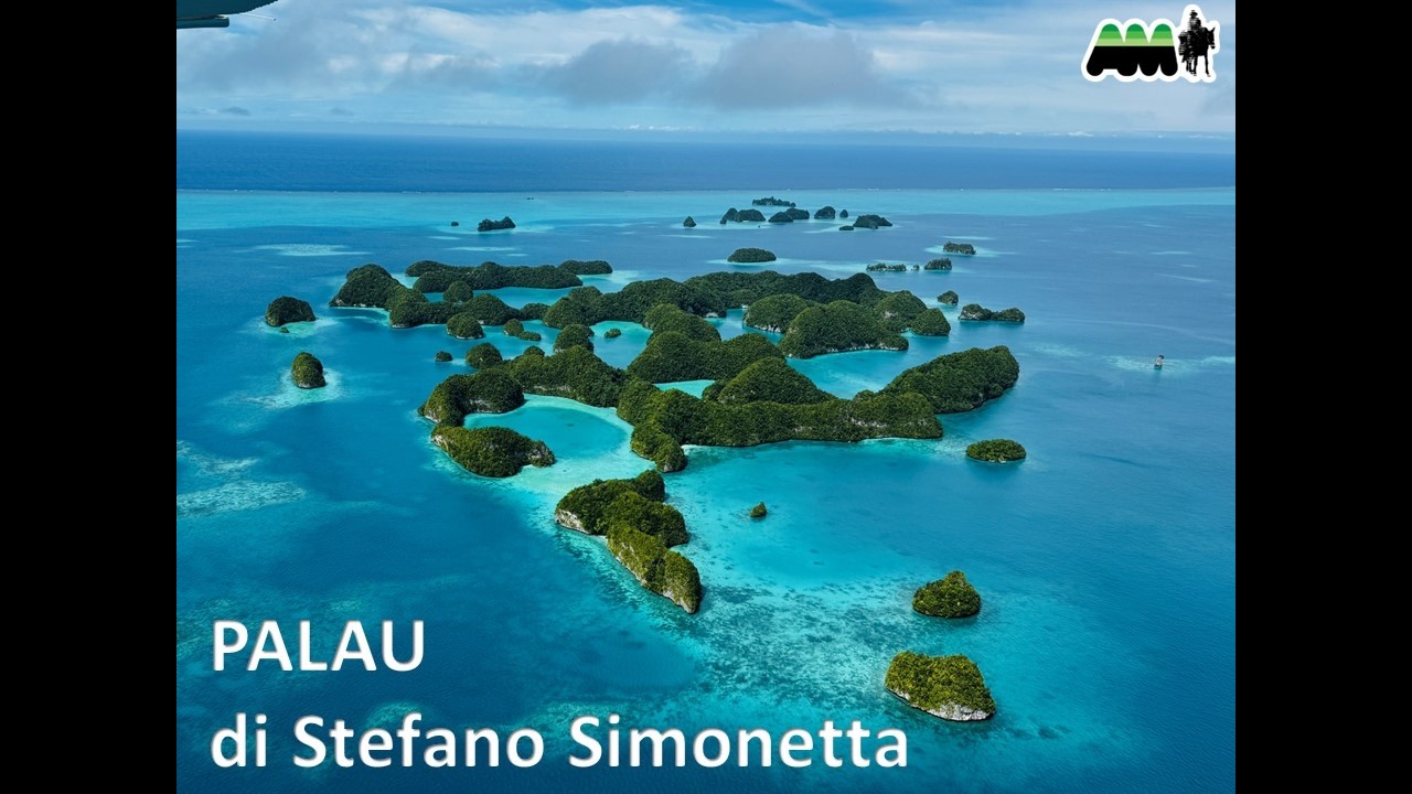PALAU di Stefano Simonetta