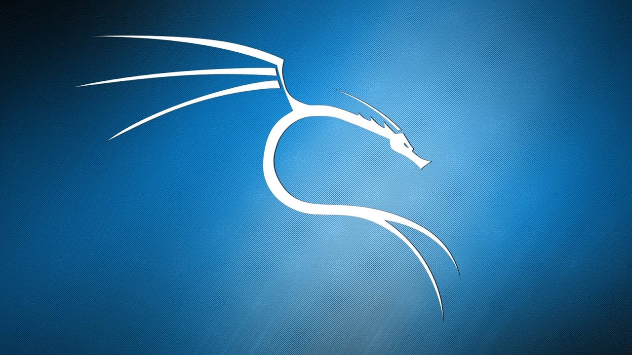 Shell Reverso Netcat Kali Linux (APK)