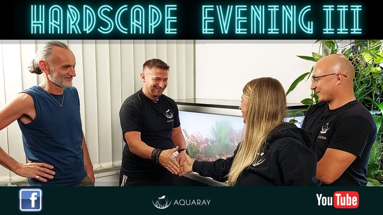 HARDSCAPE EVENING III - MAMUT Poznań - Aranżujemy zbiornik Akvastabil MOVE 360L