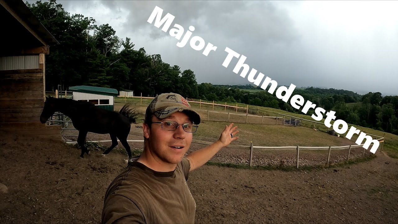 Surprise THUNDERSTORM During Feeding! What Could Go Wrong?
