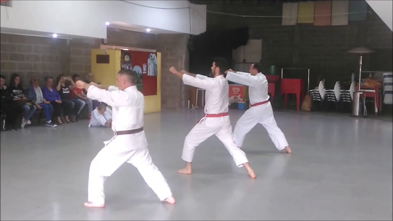 Karat&eacute; Goju Ryu ( APOGK)) demonstra&ccedil;&atilde;o