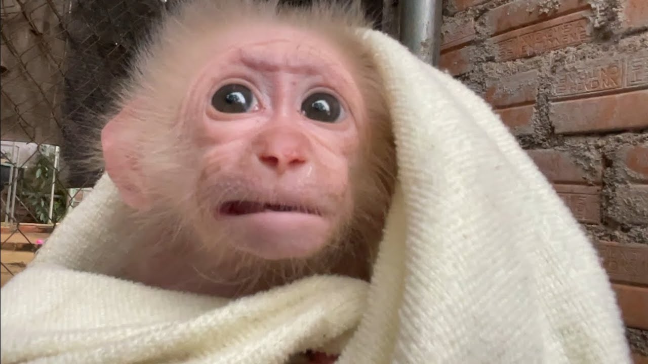 Alien’s emotional when mom asks how does he feel after changing diaper