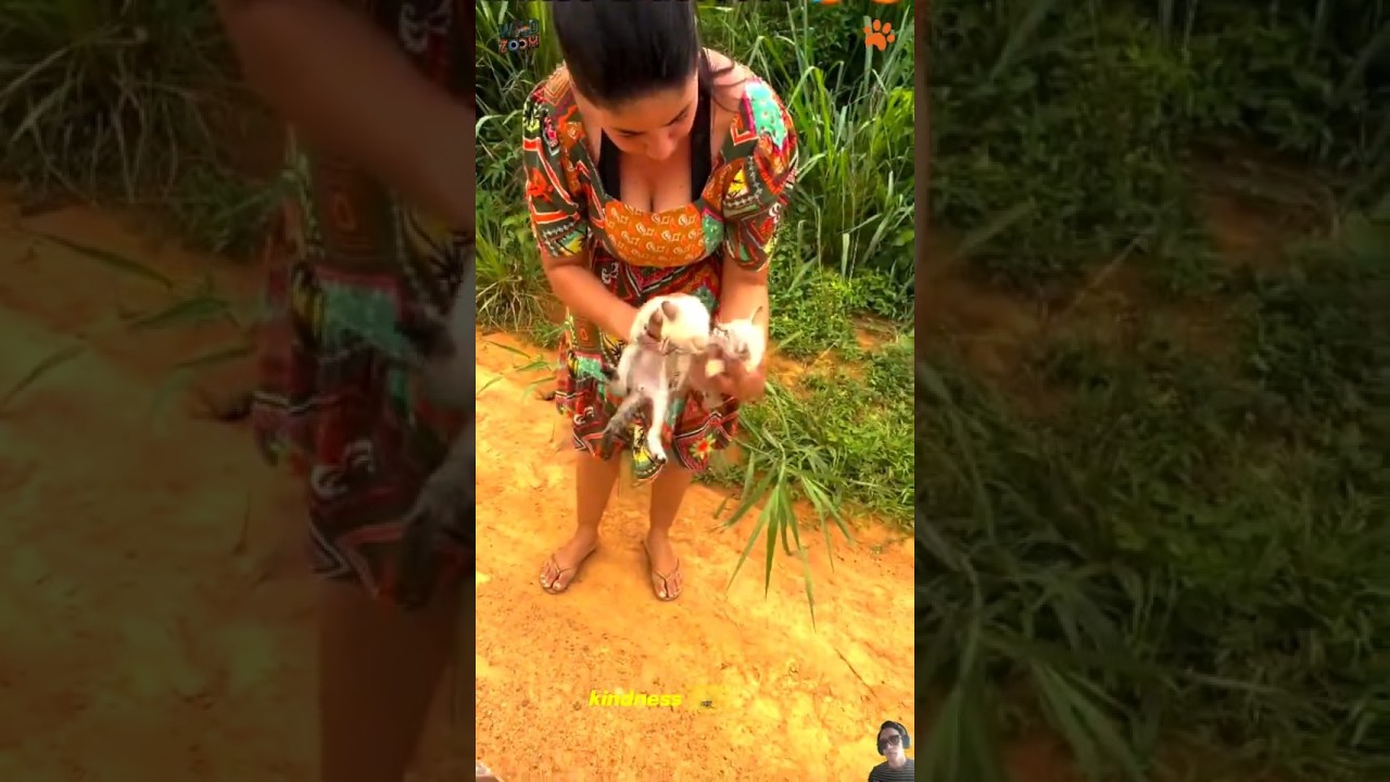 No One Stopped&hellip; Until This Hero Saved Them 🥺🐾  Emotional Animal Rescue PART 2