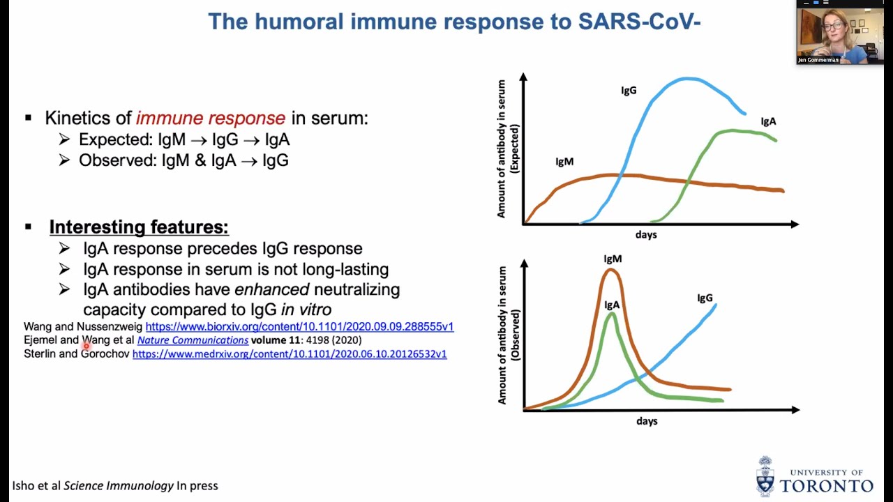 IgA producing cells in health and disease by Dr. Jen Gommerman