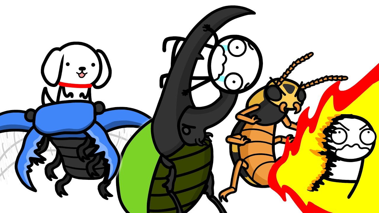 What It's Like To Fight The Deadliest Beetles