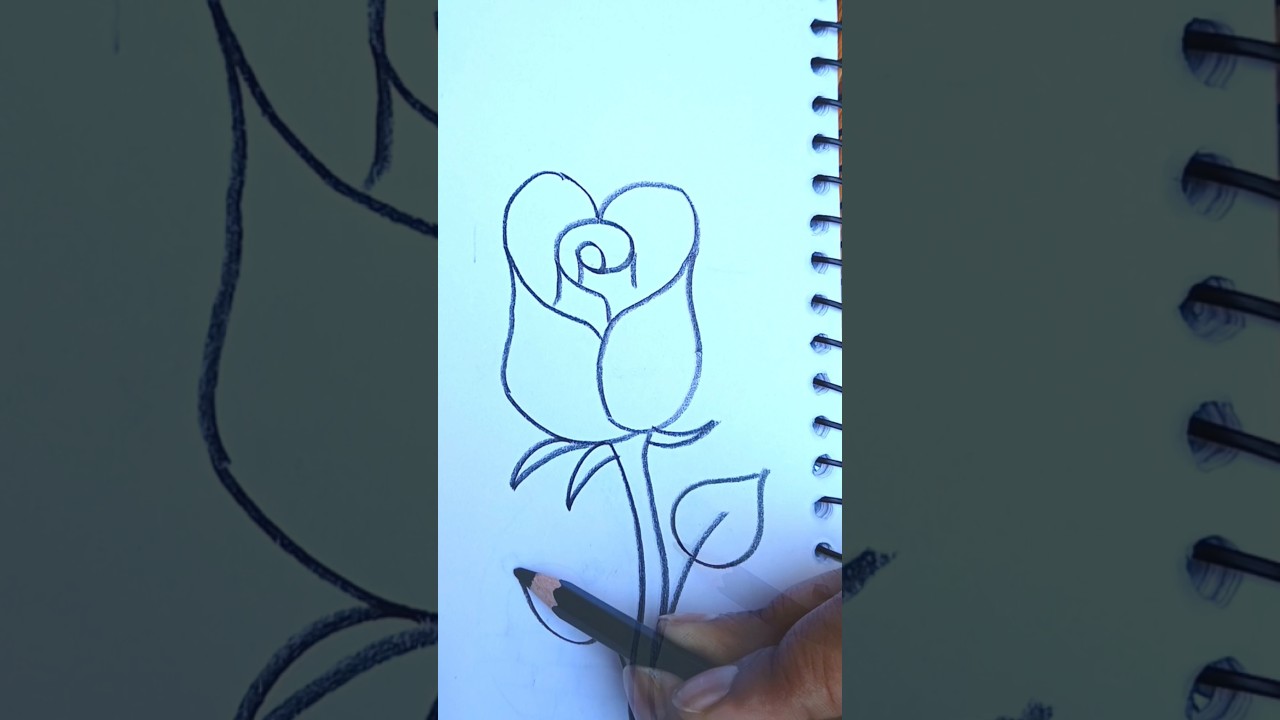 Easy Rose Pencil✨ Muskan Pushkar 