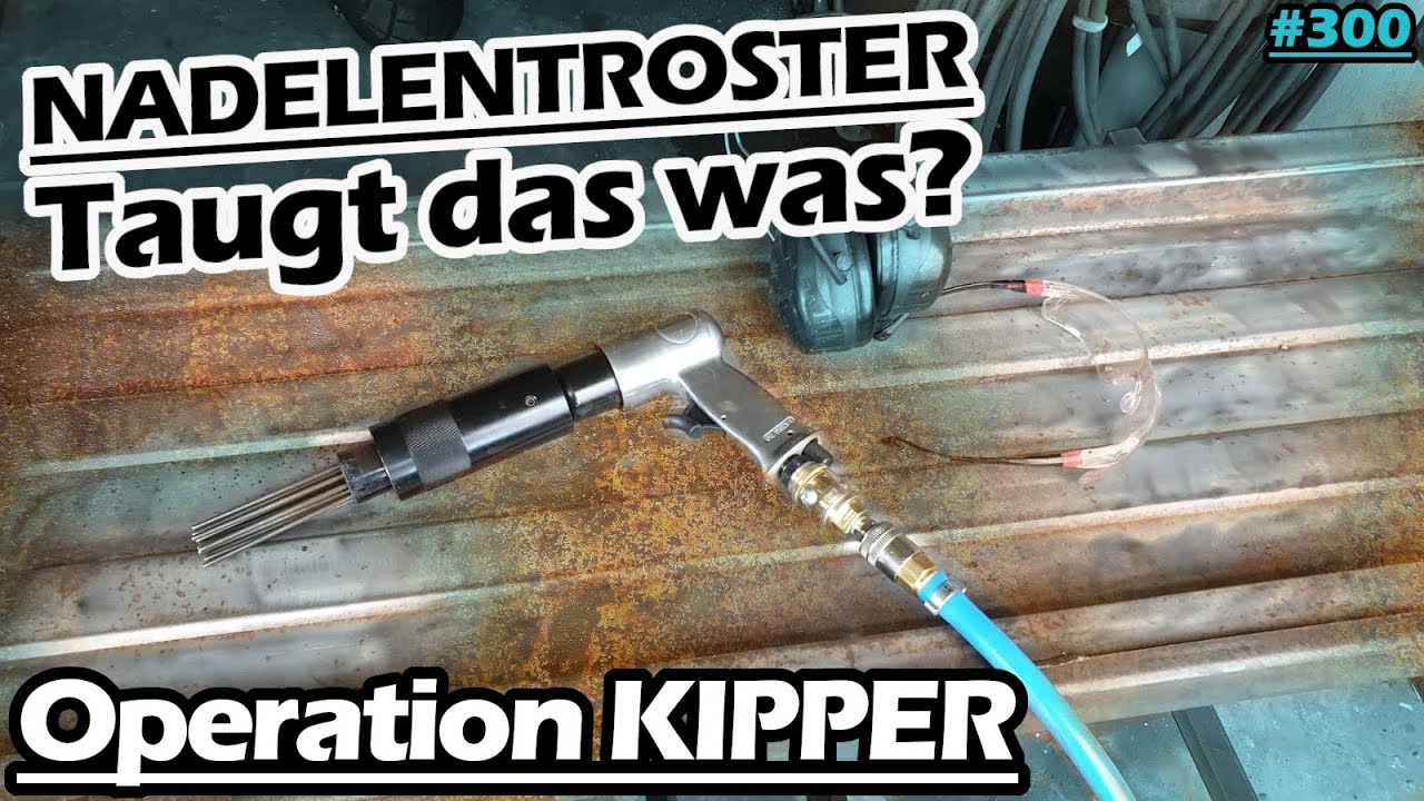 Der billigste Nadelentroster! | Was taugt er? | Kipper-Deichsel instand setzten | Bruns | Mr. Moto