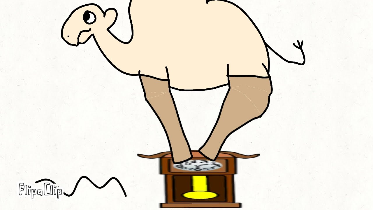hickory dickory dock camels edition