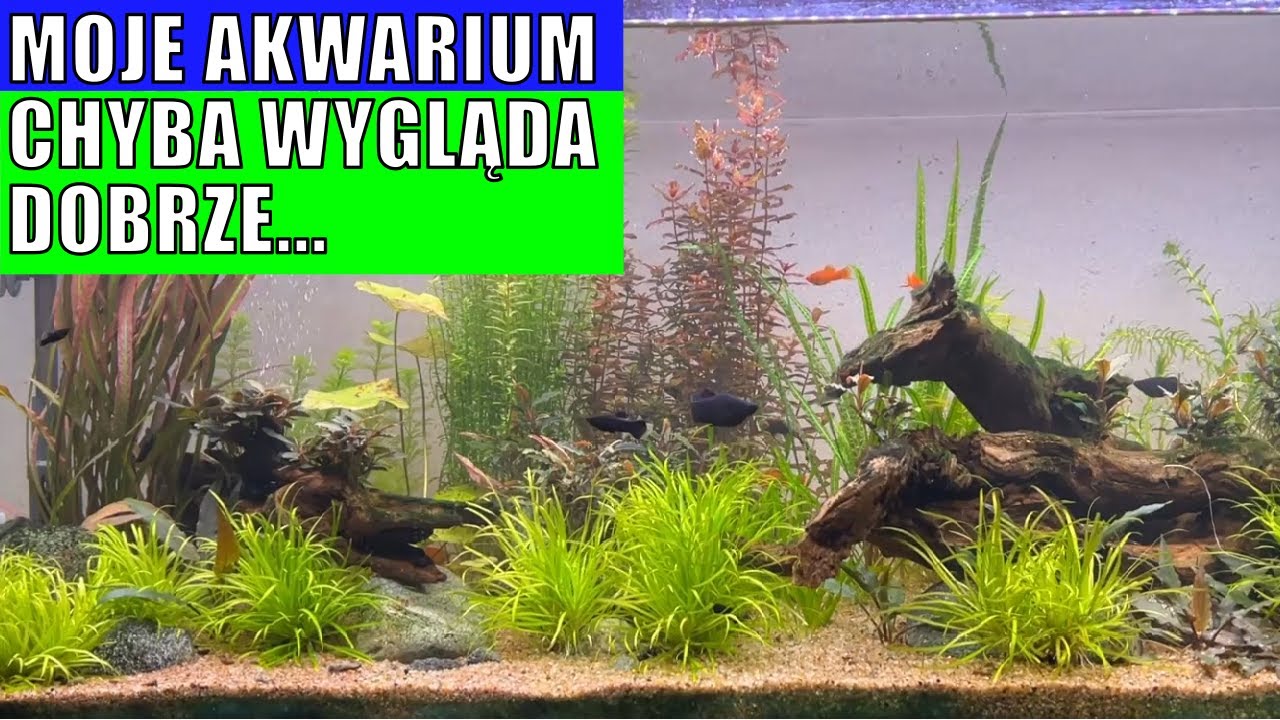 00190 18 stycznia 2025