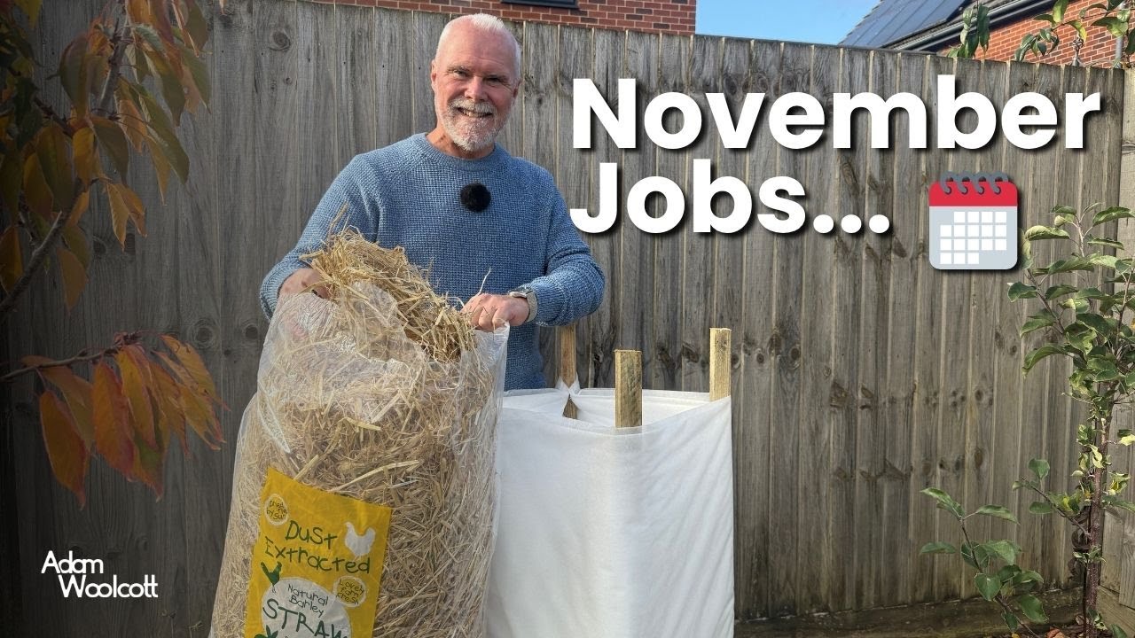 5 Things You Need To Do In Your Garden This November