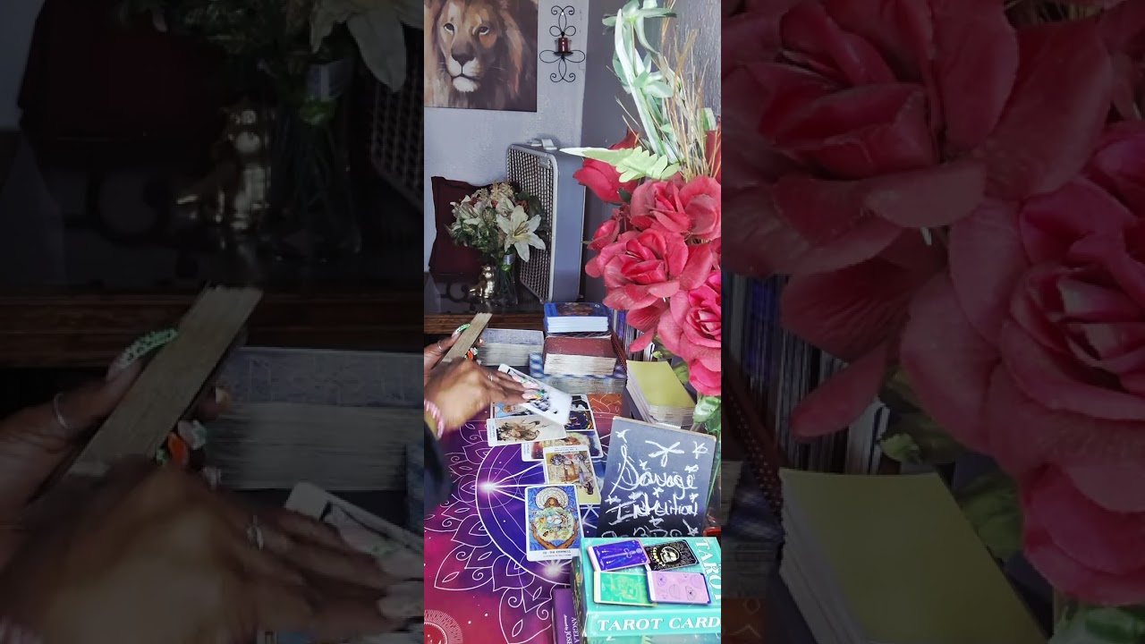 Они предпочли птиц вам, и теперь им нужна ваша помощь...