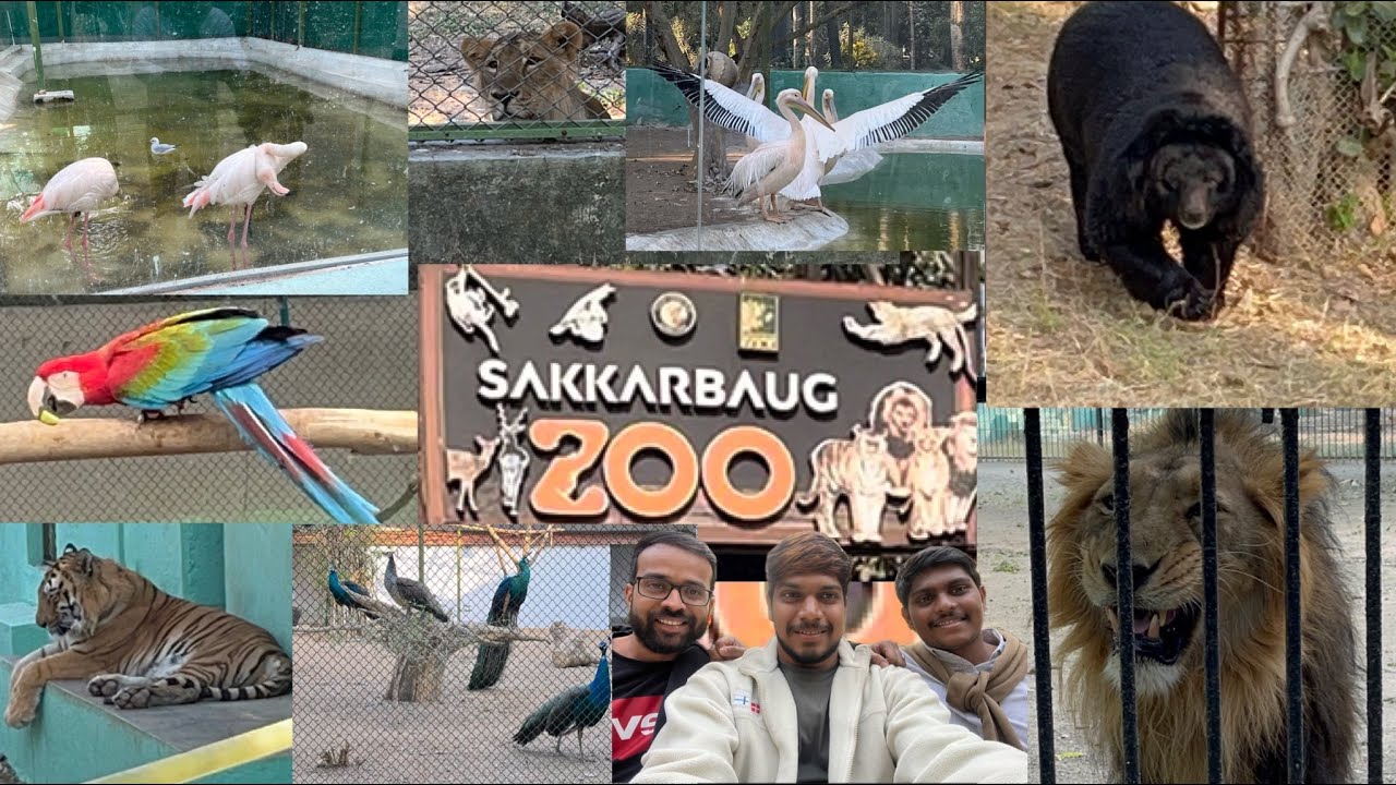 SAKKARBAUG ZOO, Junagadh, Gujrat | Vlog 2023