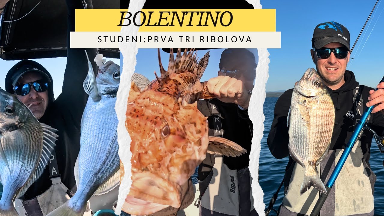 ORADE, ŠARGI I VELIKA ŠKRPINA SA BRODA: BOLENTINO