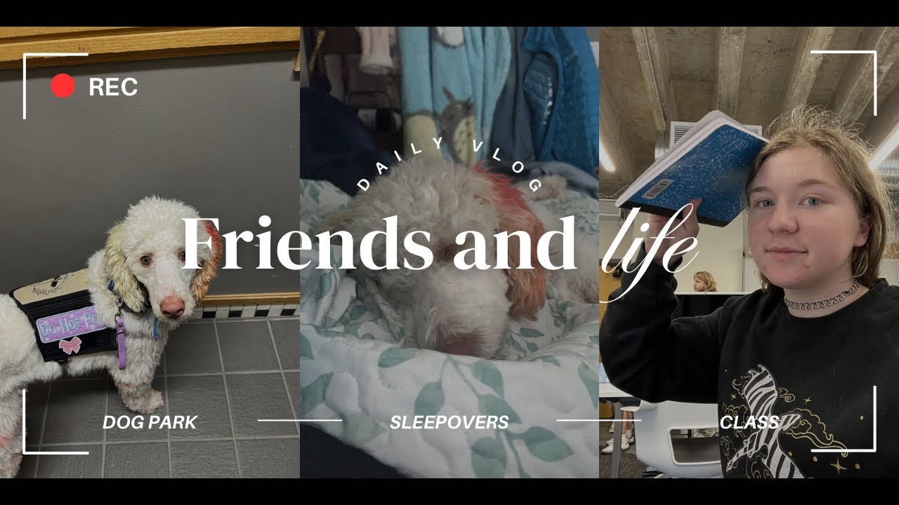 Friends in life ￼
