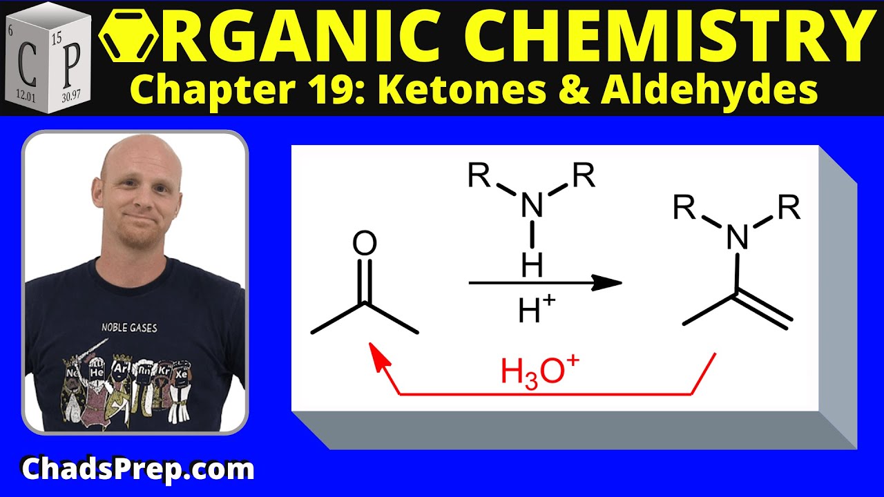 19.6b Addition of Secondary Amines Enamine Formation