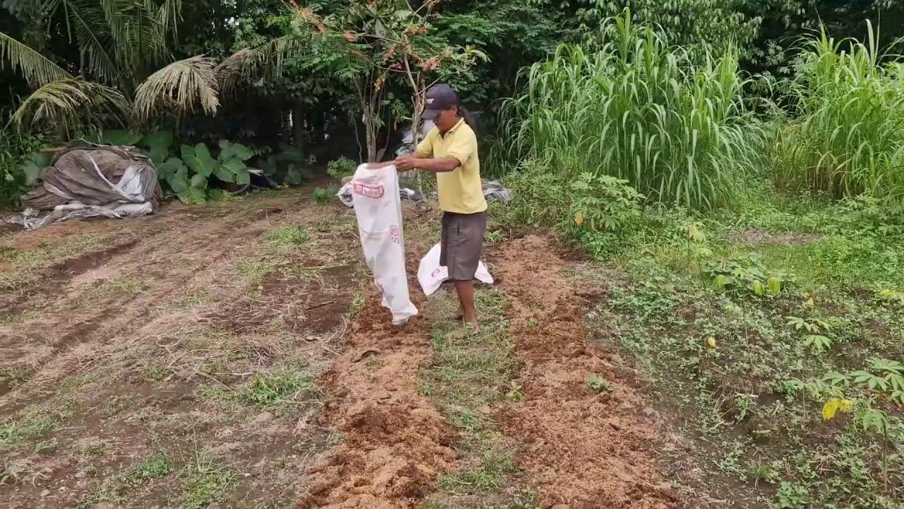DON’T TILL YOUR SOIL BEFORE ADDING COMPOST LIKE THIS! - Agriculture Farming