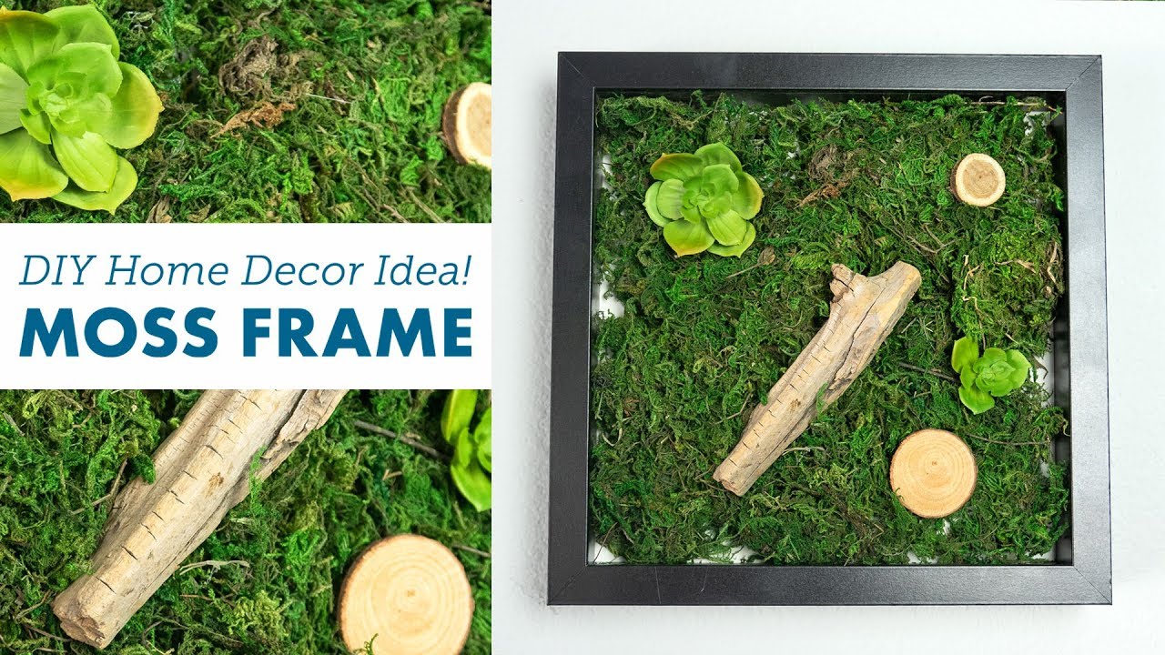 DIY Moss Frame 🌿 | Easy Home Decor Idea | BalsaCircle.com