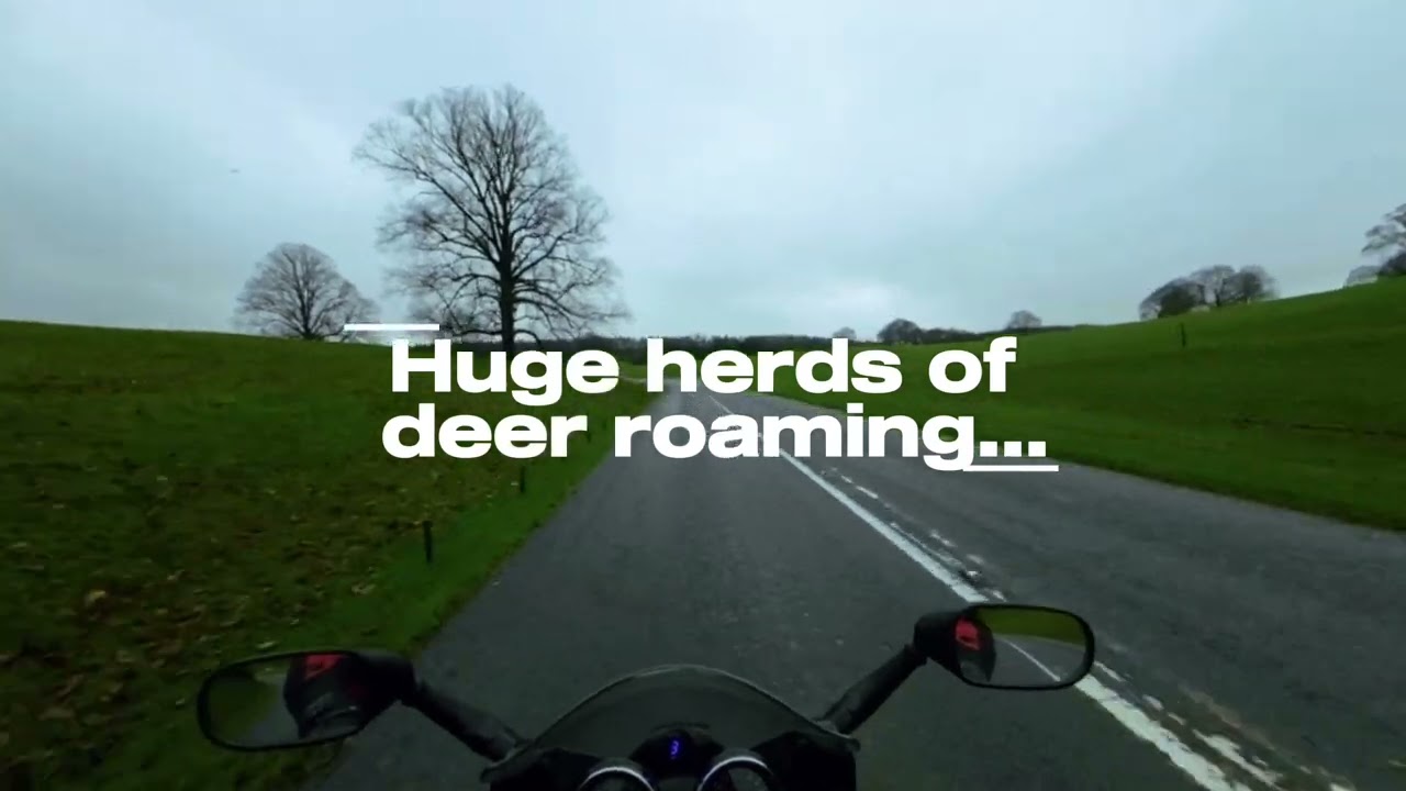Unexpected cruise through Chatsworth house on the Bandit 1200