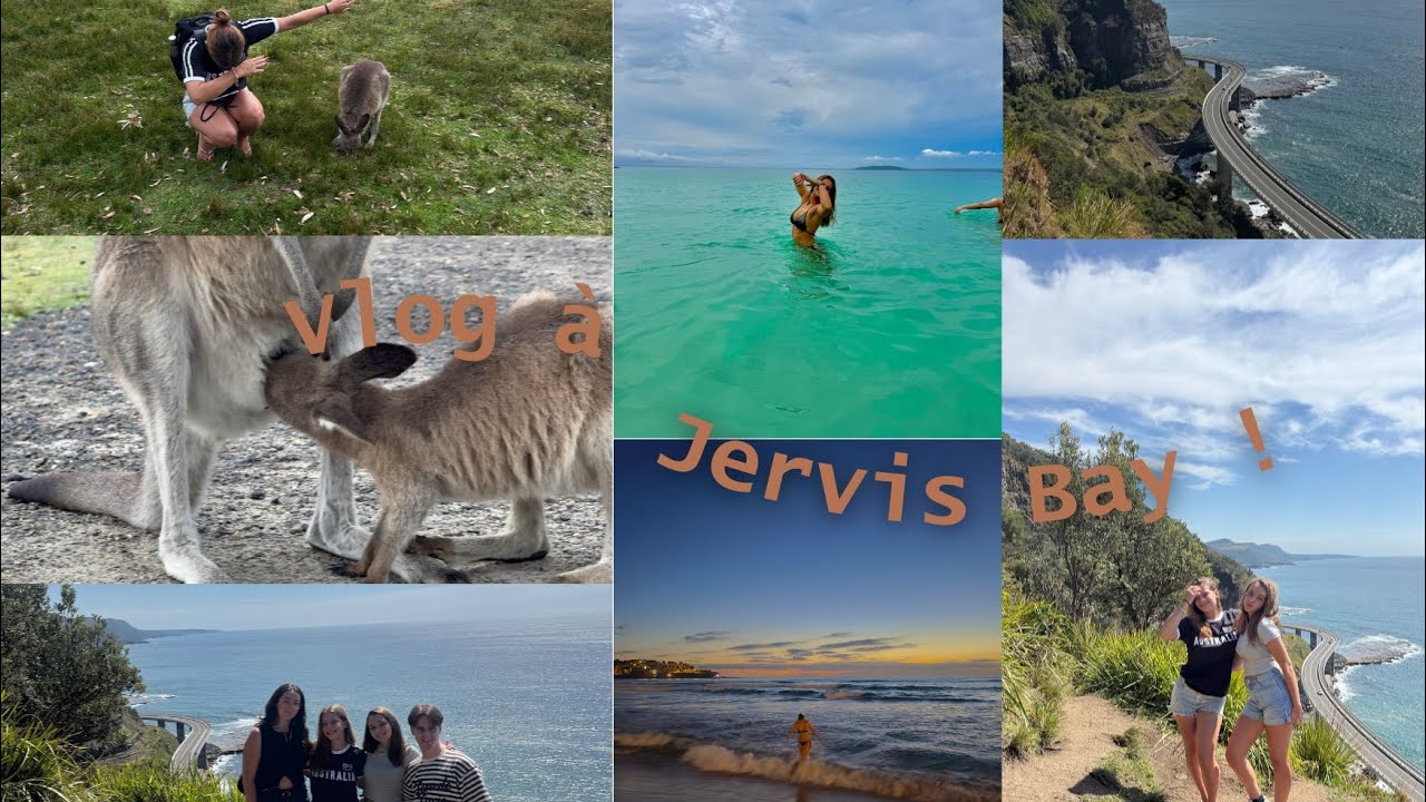 Une journée à Jervis bay !☀️🏝️🦘