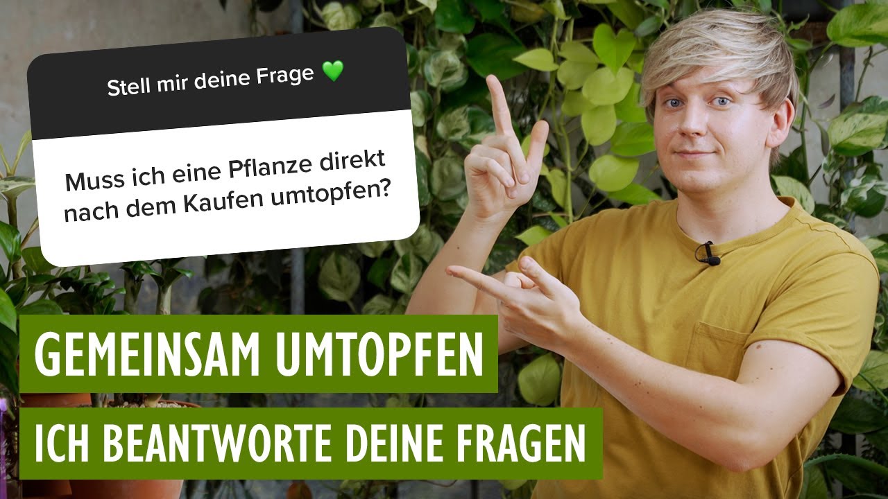 Gemeinsam umtopfen 🧘 Botanika? Wann & wie Pflanzen umtopfen? Beste Topfgröße? Tipps für Sukkulenten?