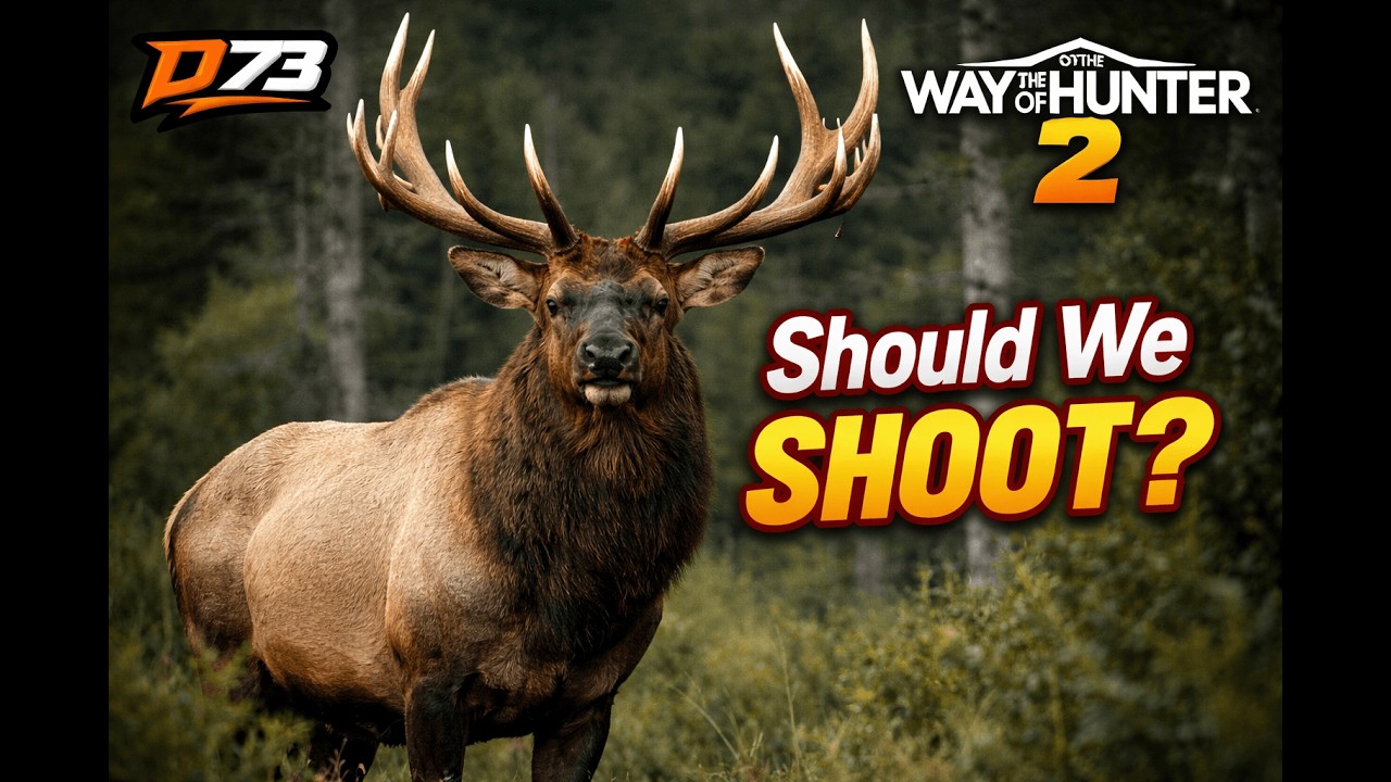 Lost My Scope… Then This Elk Appeared | Way of the Hunter 2