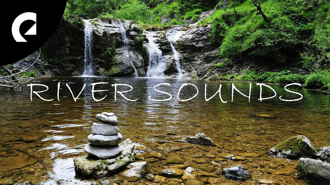45 Minutes of Relaxing River Sounds - Flowing Water and Forest Creek Ambience 🏞️
