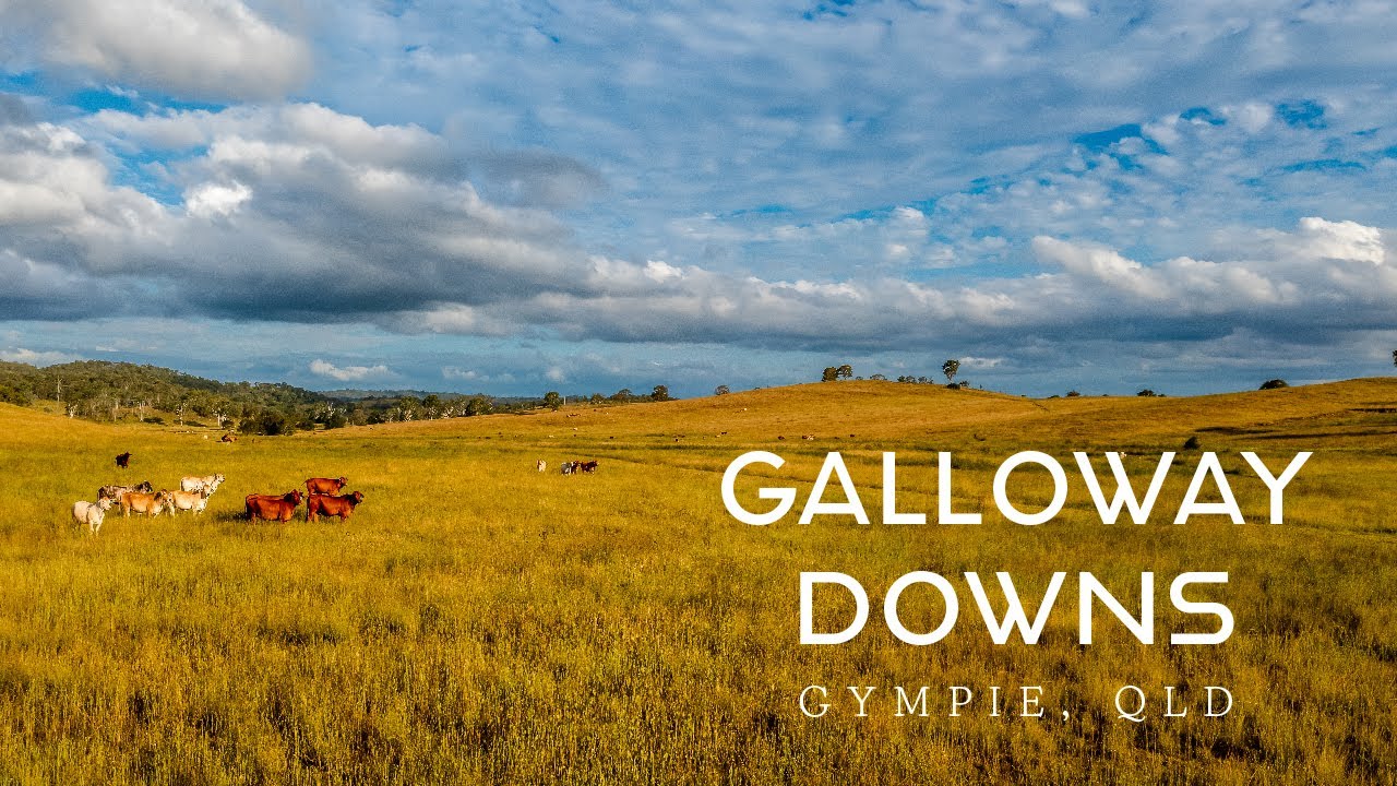 ‘Galloway Downs’, Gympie Region, Qld