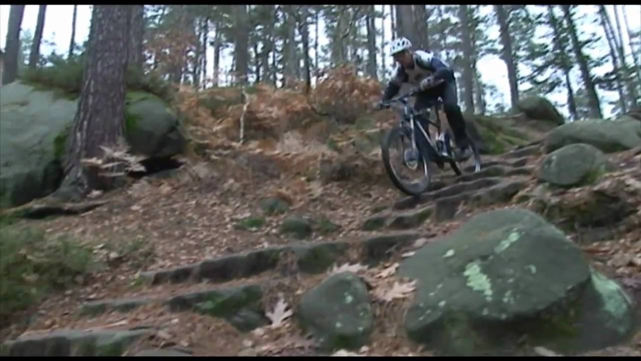GIANT TRANCE X
