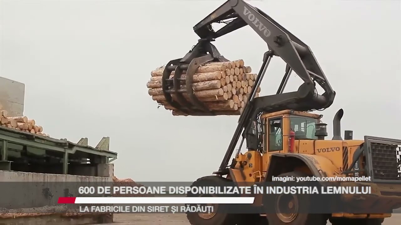 600 de persoane disponibilizate în industria lemnului, la fabricile din Siret și Rădăuți
