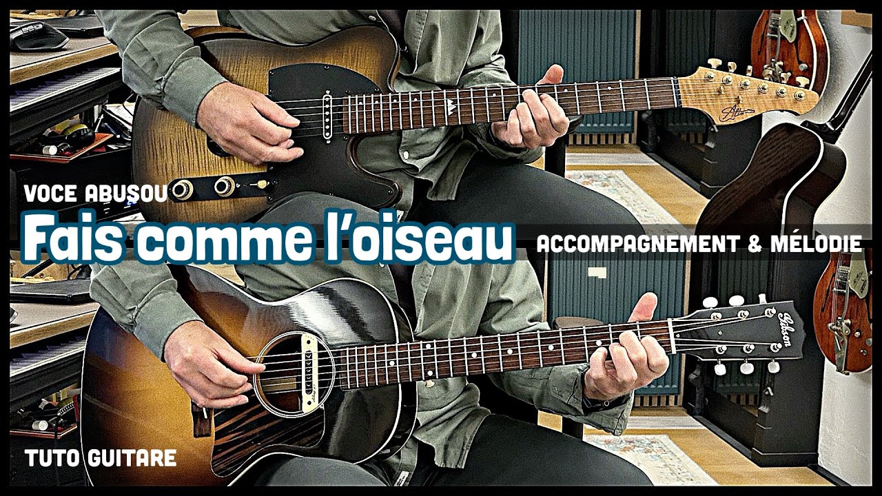 Fais comme l’oiseau - Voce abusou - tuto guitare - Michel Fugain