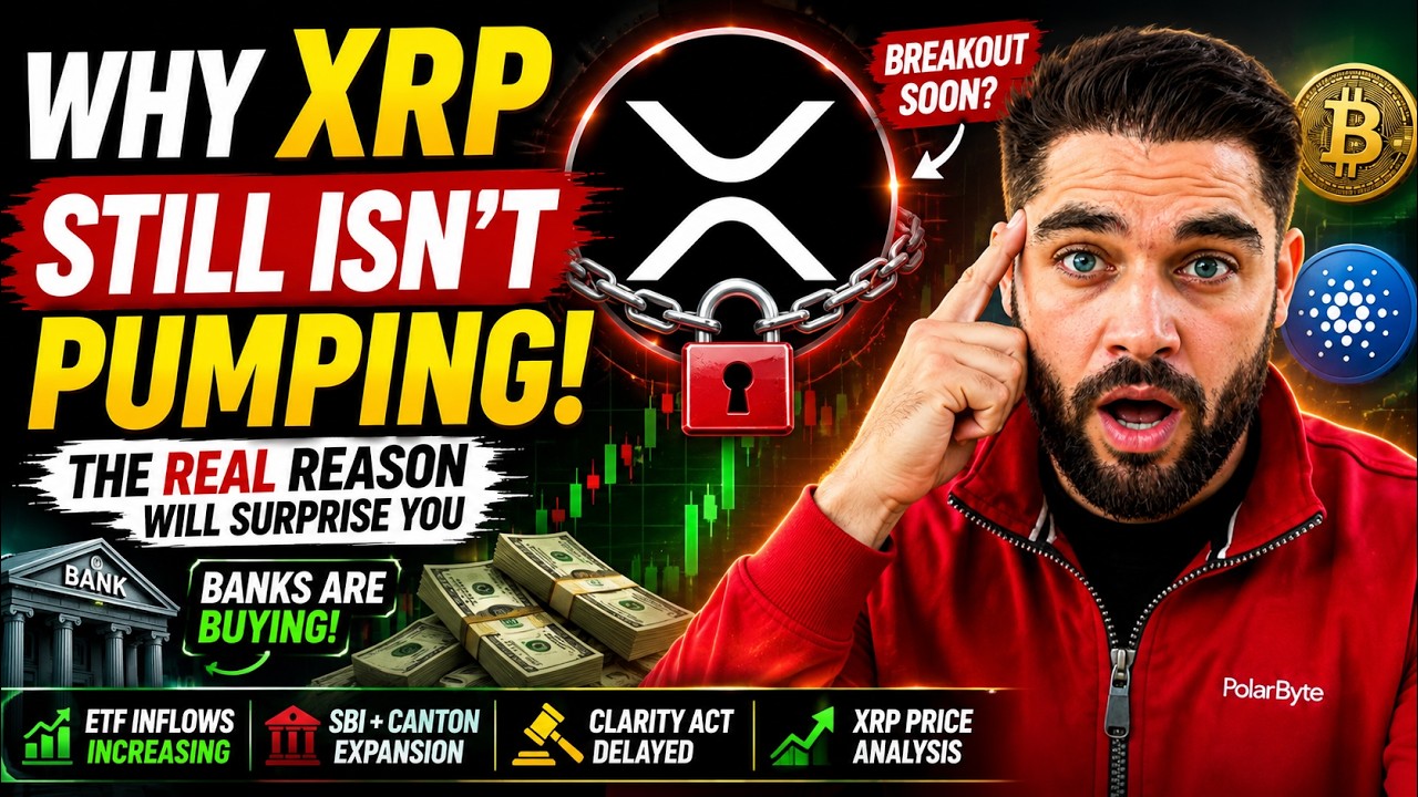 XRP Is Building the Future of Finance... So Why Isn't It Moving?