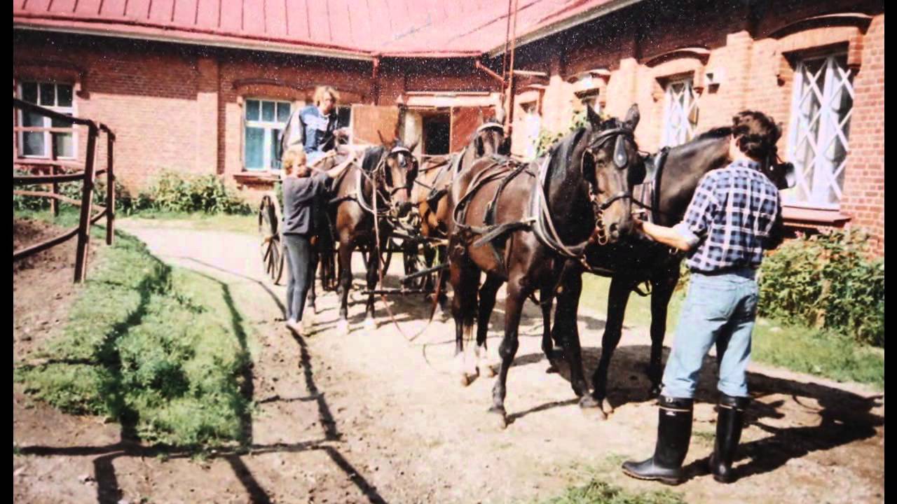 Muistoja Honkolassa