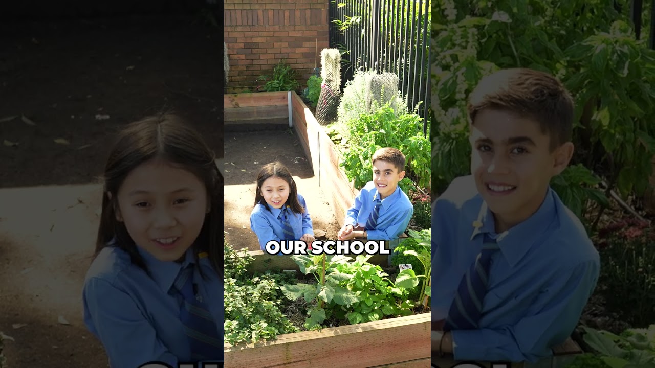 Revesby: St Luke's Catholic Primary School