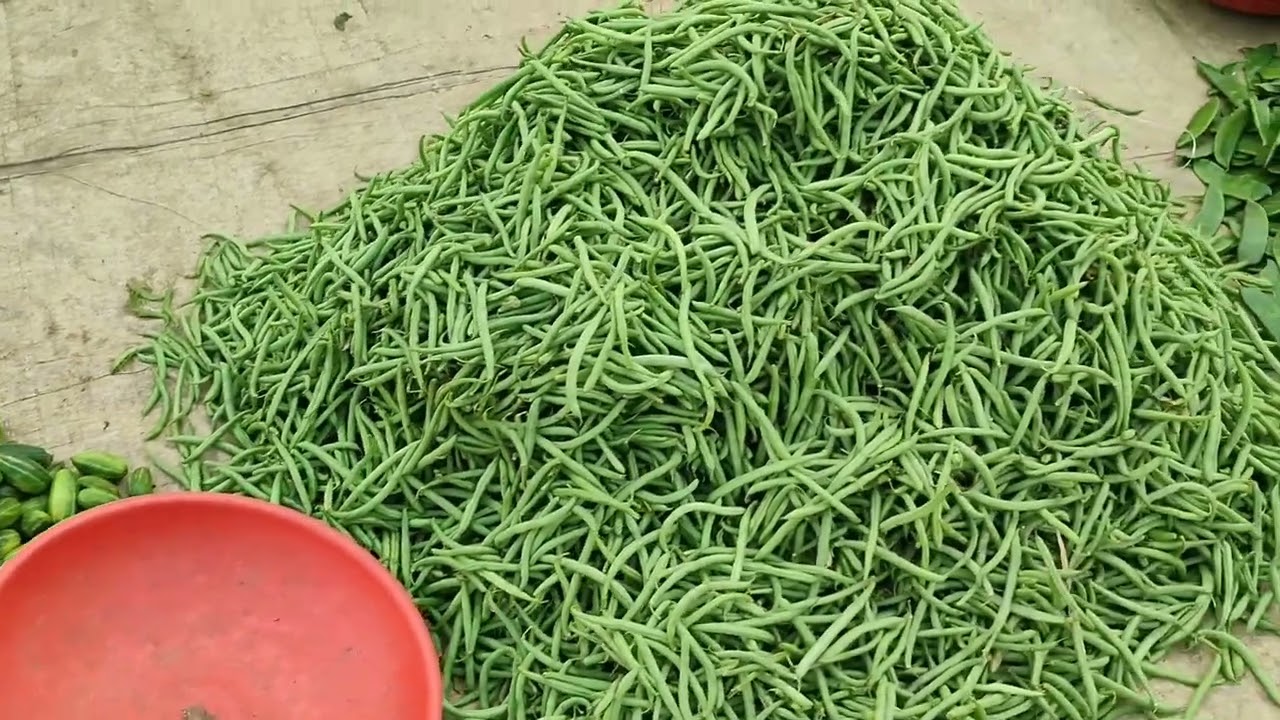 Fresh vegetable market 