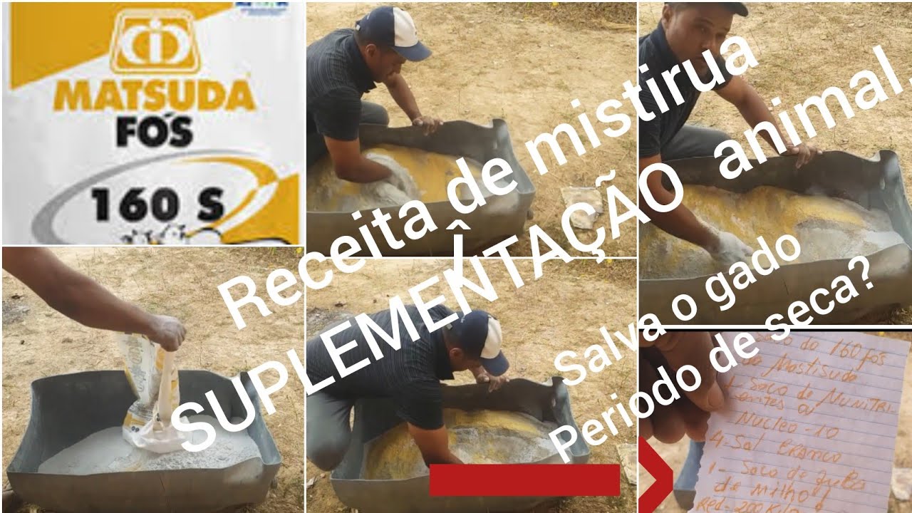 Como fazer uma boa Mistura para o Gado no periodo de seca. #mastsuda #lidanaroca #mineralmastsuda