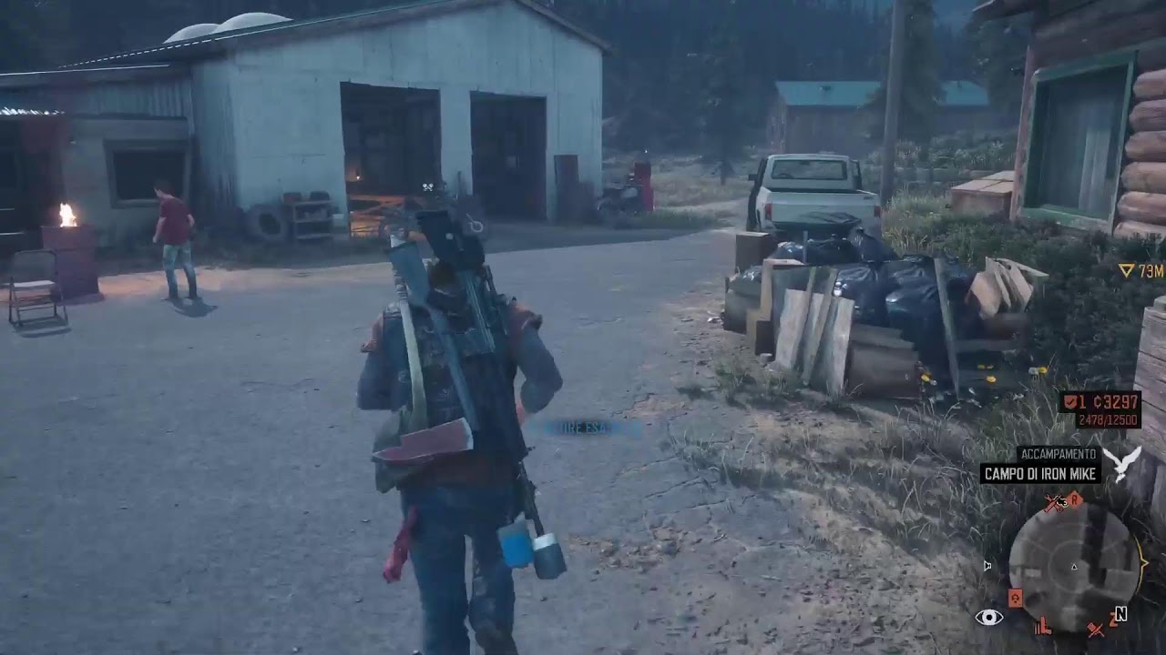 Days Gone
